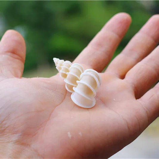 Лидер продаж натуральная ракушка Шиши улитка эпитоний скалярный образец