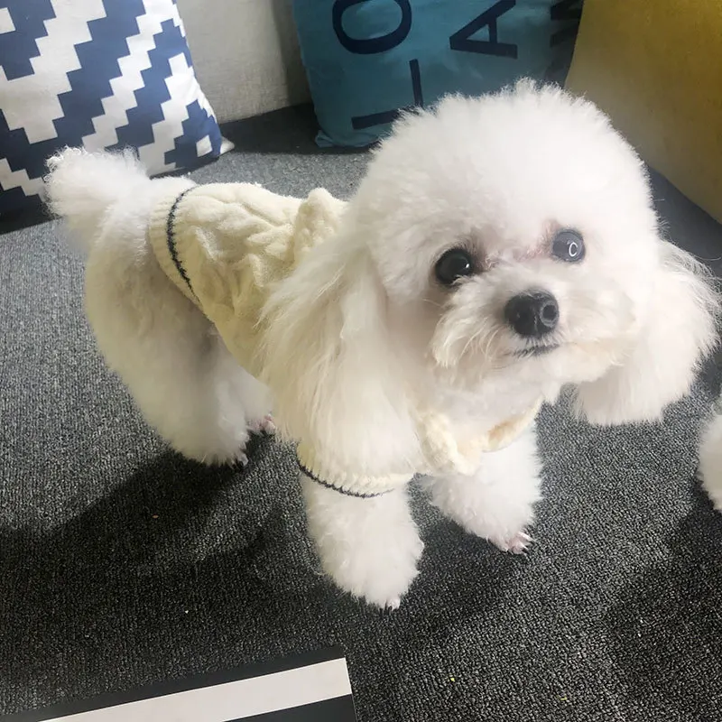 

2021 New Pet Clothes Dog Hooded Sweater Teddy Bear Dog Fat Dog Clothes Twist Pattern Hoodie Cute Puppy Casual Clothes
