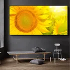 Ordic Classic HD Подсолнухи, искусство, картина для гостиной, украшение для дома