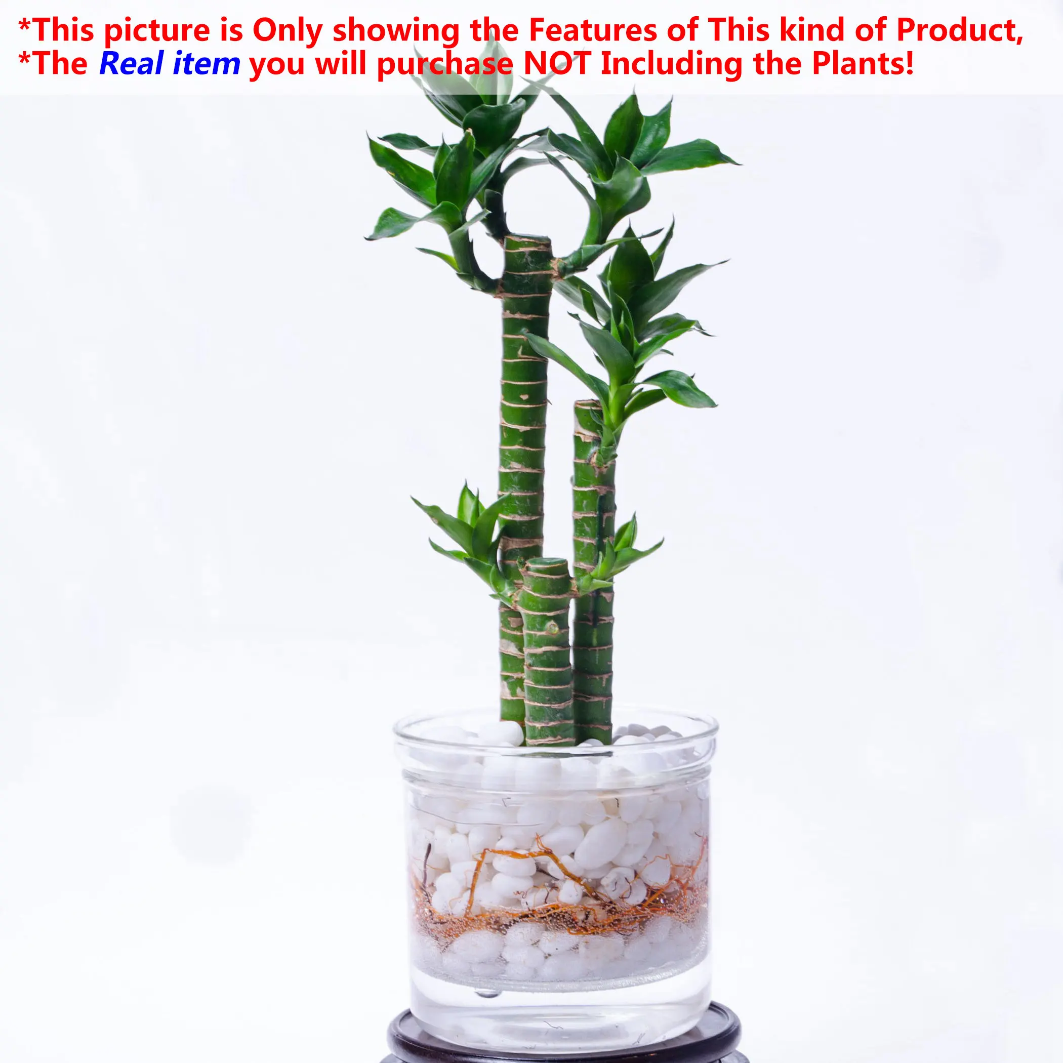 1x400 мл прозрачная стеклянная чаша для сада Цветочная ваза горшок со стеклом