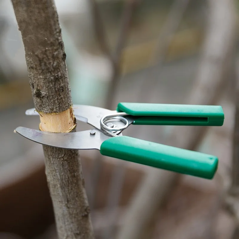 

Anti-slip Ring Cutting Scissors Easy Gardening Pruning Shear stripping bonsai Potted Trim Weed Branches for Grapes Tree Tools