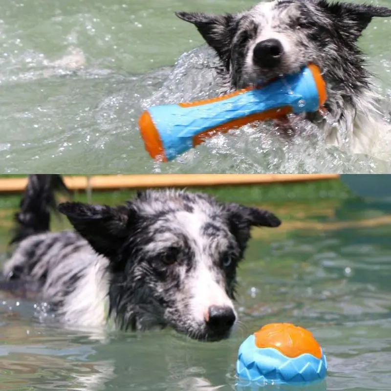 Outdoor Floating Pet Products for Large Medium Dogs TPR Dog Chew Toy with Water Swimming pool Dog Training Toy Puppy Assessories