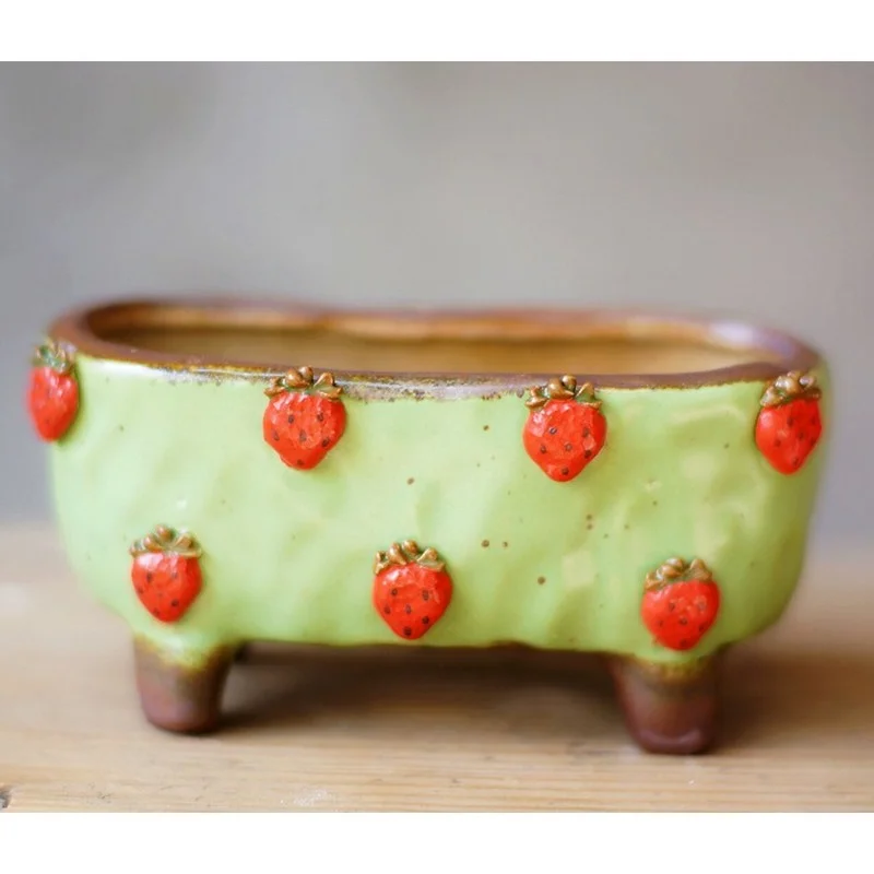 Прекрасная Клубничная грубая керамика многомясовое растение горшечный камень