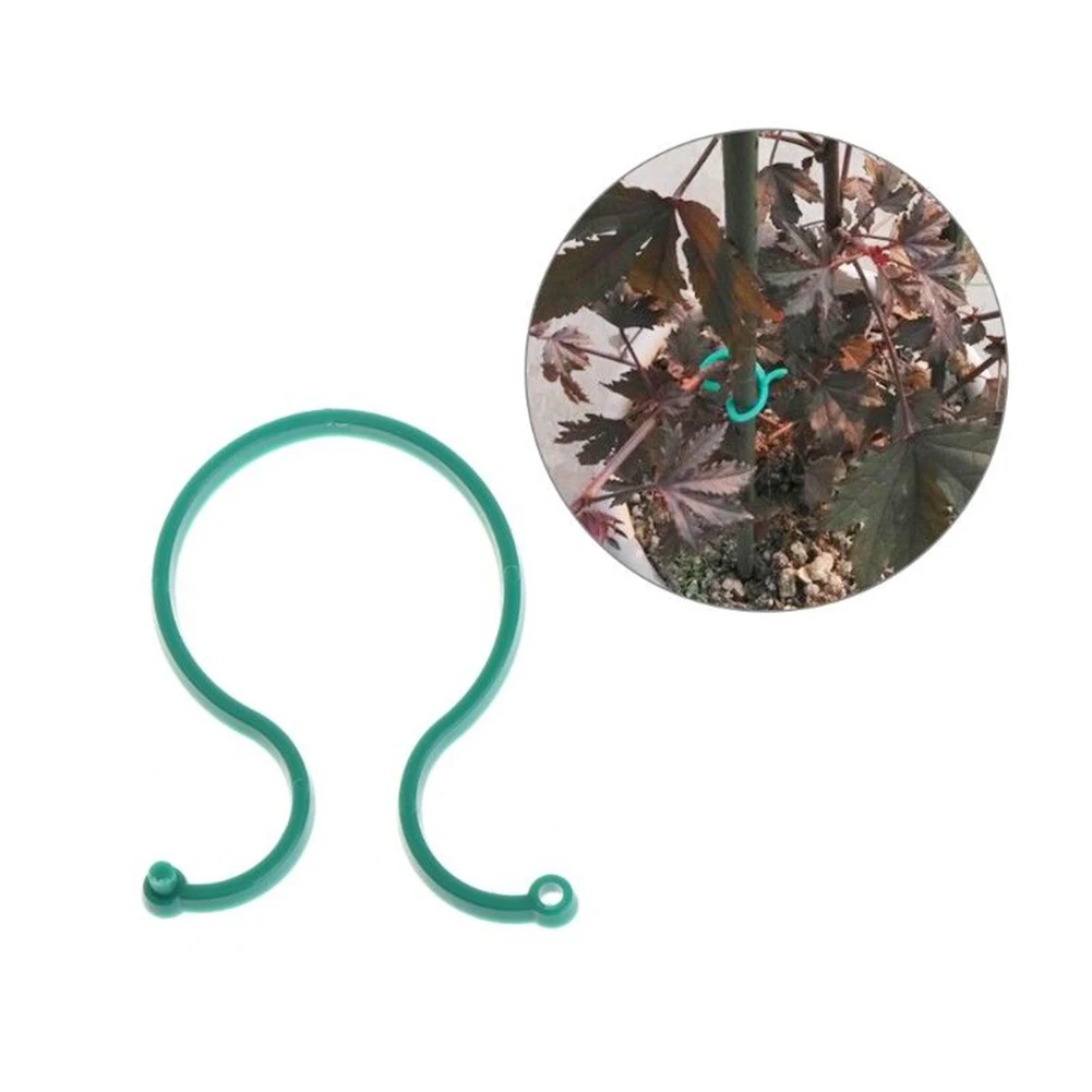 100 шт. садовые инструменты для теплицы фруктов сада выращивания помидоров