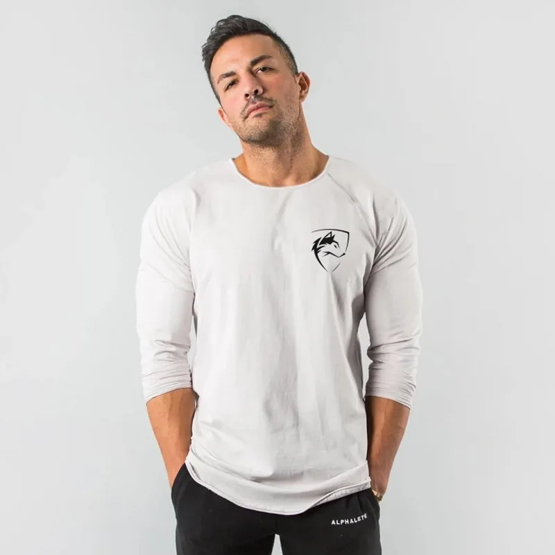 Белый Alphalete мужская повседневная мужская футболка черная белая футболка Весна Новая мода o-образным вырезом Тонкая футболка с длинными рукавами Топ - Цвет: Белый