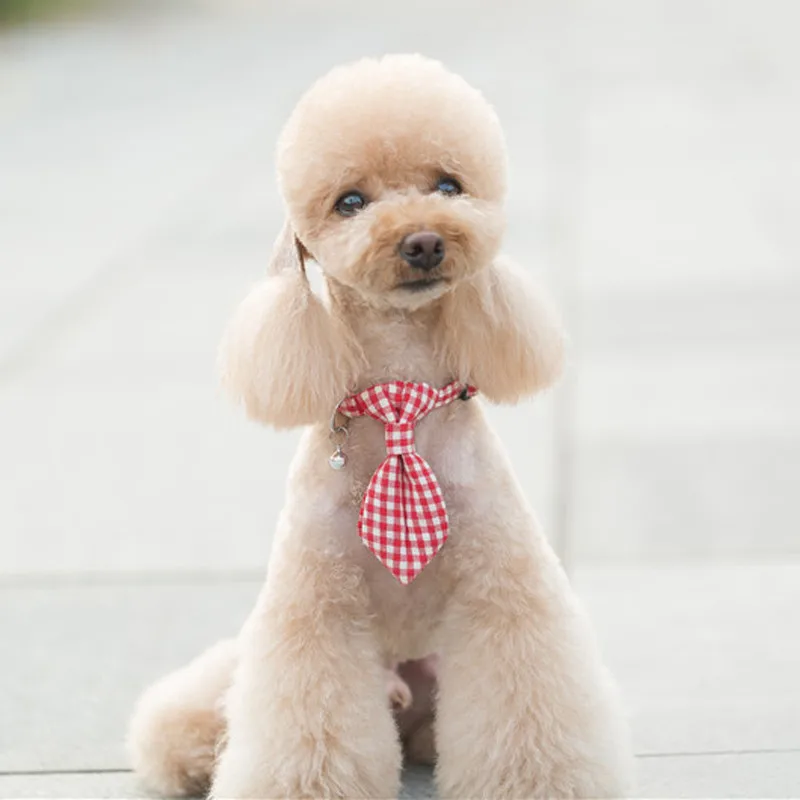 Шлейка поводок для домашних питомцев клетчатый жилет маленьких собак