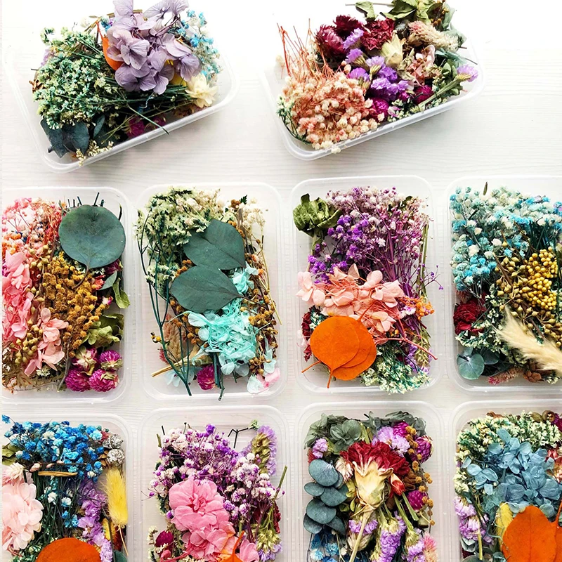 

Mixed Beautiful Real Dried Flower Natural Floral For Art Craft Scrapbooking Resin Jewelry Craft Making Epoxy Mold Filling