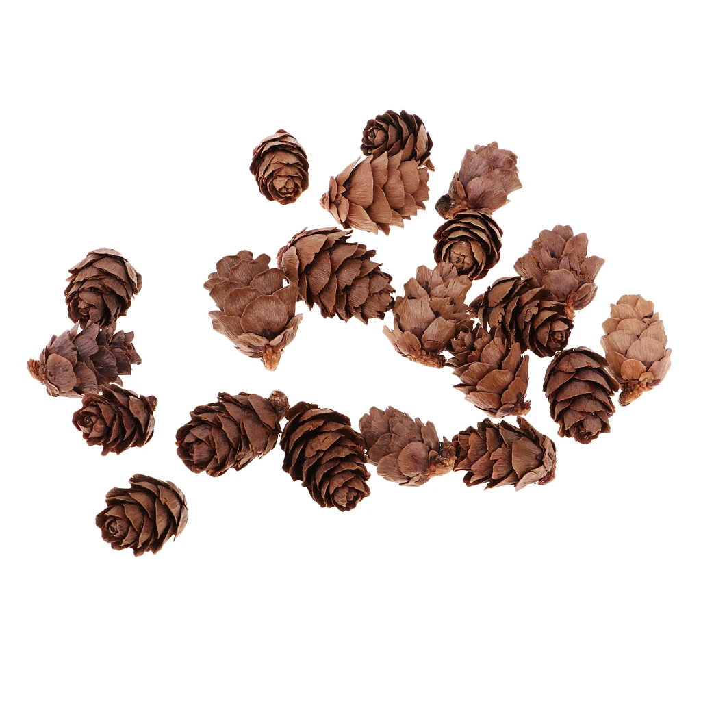 50x натуральные декоративные сосновые конусы Pinecone для Рождественского украшения