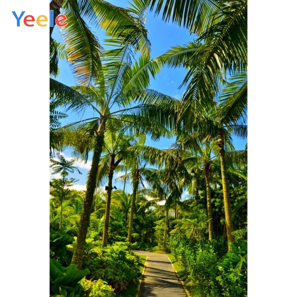 Фон для фотосъемки с изображением тропического леса джунглей парка сада пальмы