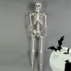 Модель скелета 40 см, оптовая продажа, помощь при обучении, анатомии, художественный скетч, Хэллоуин, гибкая анатомическая кость человека
