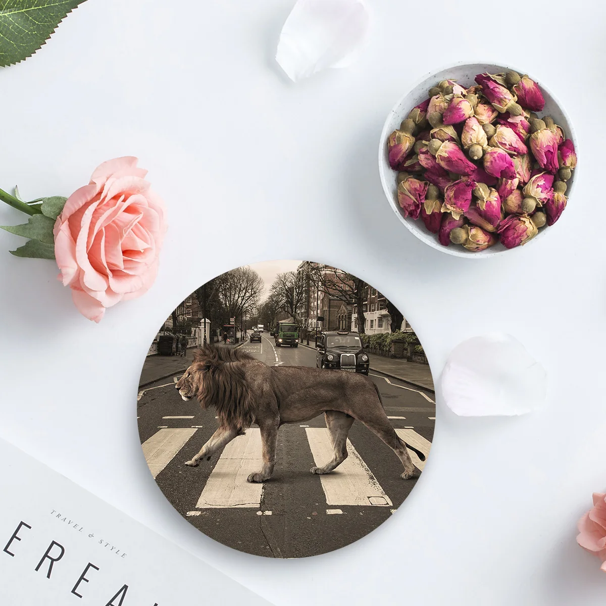 Животные город Лев пересечение Abby Road подставки керамические подставка для