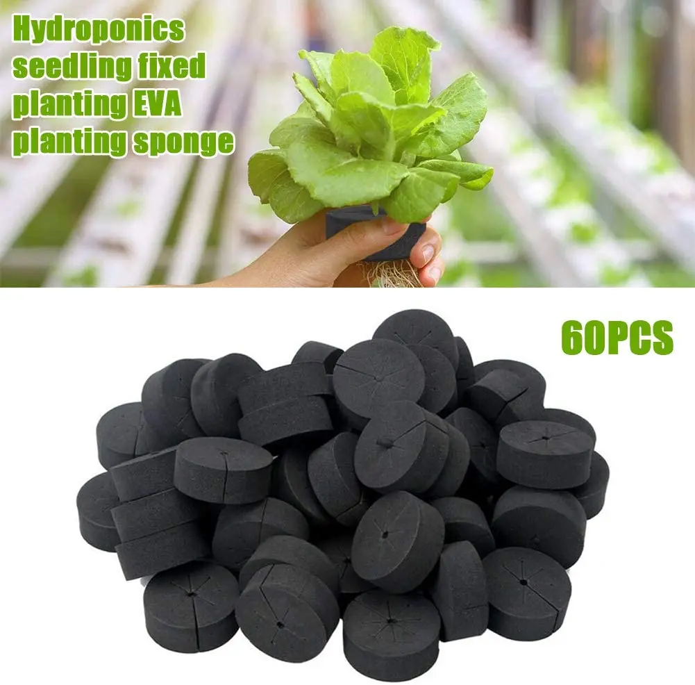 

60pcs Plant Cloning Collars Eva Vegetable Grade Foam Inserts, Hydroponic System, Balcony Plants Germinate In Diy Cloning Machine