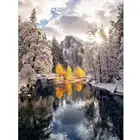 5D алмазная живопись сделай сам, узоры снежной сцены, вышивка крестиком, алмазная вышивка, мозаика, картина Стразы, домашний декор