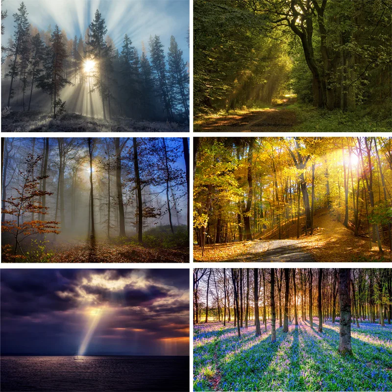 

SHENGYONGBAO Art Fabric Photography Backdrops Prop Light landscape Theme Photography Background 200309HV-08