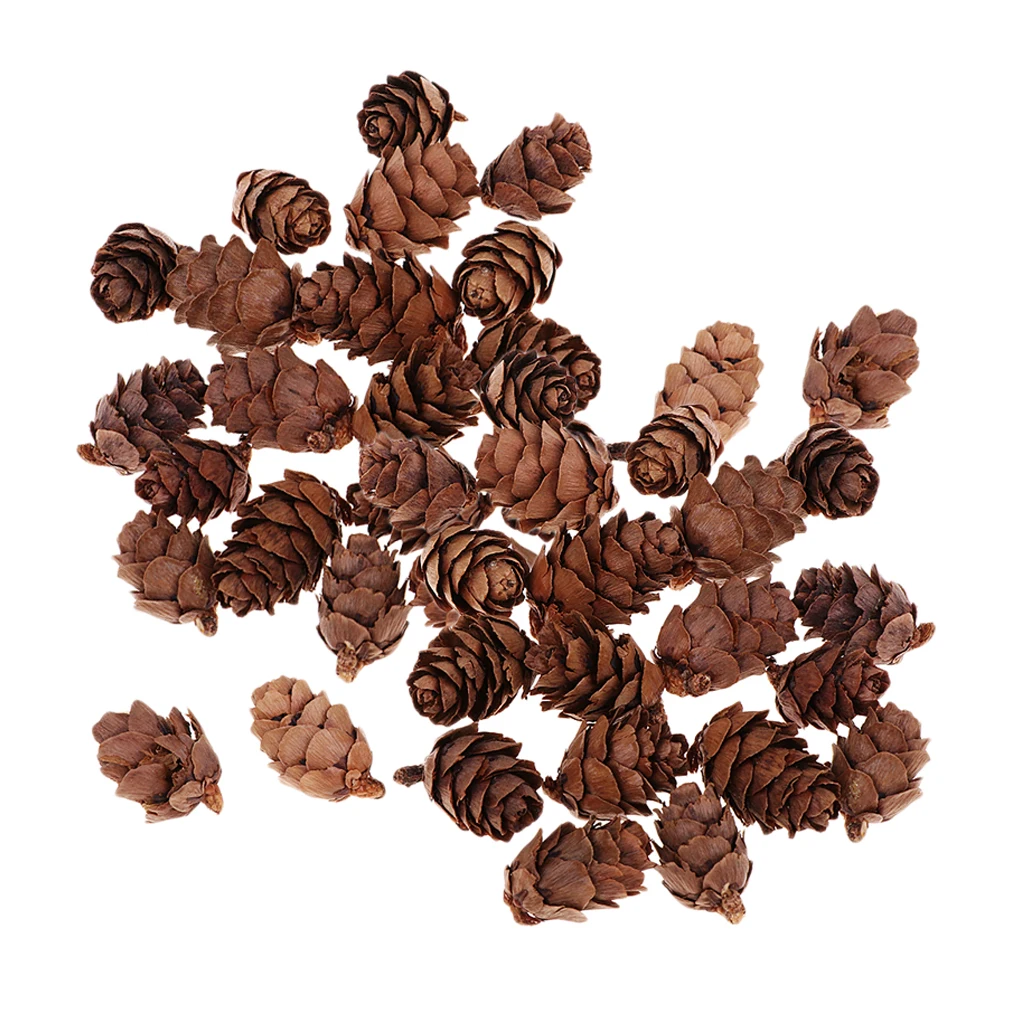 Фото 100x натуральный декоративный сосновый конус Pinecone для Рождественского украшения 100x натуральный декоративный сосновый конус Pinecone для Рождественского украшения