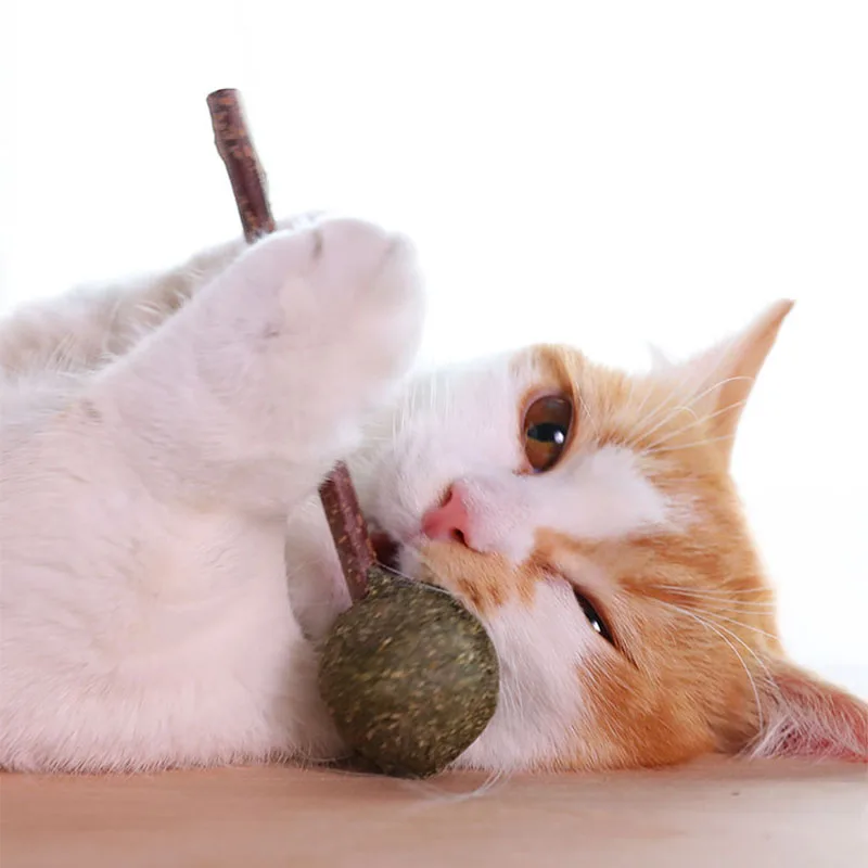 Зубы для домашних животных кошачья мята леденец Органическая игрушка в виде мяты