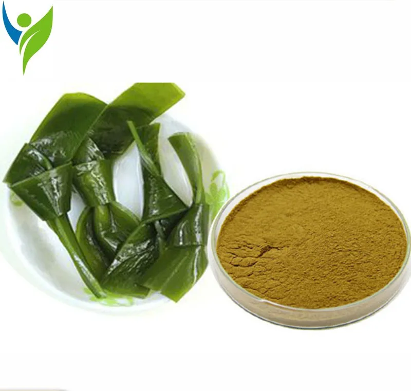 

Kelp ,Kelp Deep Sea Kelp