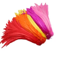 50pcslot rooster tail feathers for crafts 25 40cm10 16inch carnival home for dancers diy plume