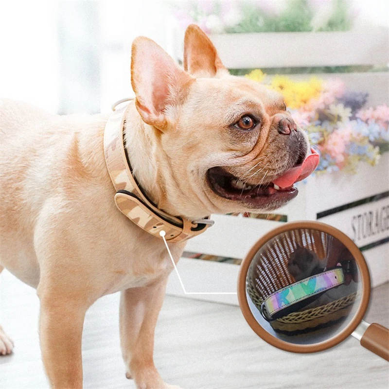 

Reflective Small Adjustable Dog Collar Chain Cute Pet Chihuahua Collar Pitbull Pets Dog Collars Puppy Pet Products 2020 QII50GQY