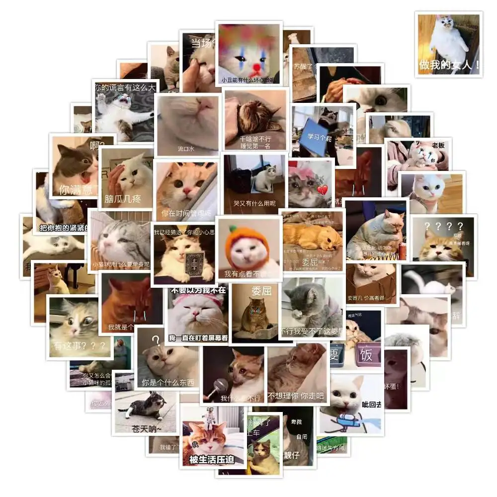 

50PCS Internet Meme Stickers for Kids Laptop Phone Case Scrapbooking Car Graffiti Vinyl Decals Sticker Style Trendy Teens Toys