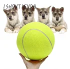 Тренировочные теннисные мячи, Пляжная игрушка для домашних животных, Спортивная уличная Веселая теннисная игрушка для жевания собак, оборудование для тренировок на открытом воздухе