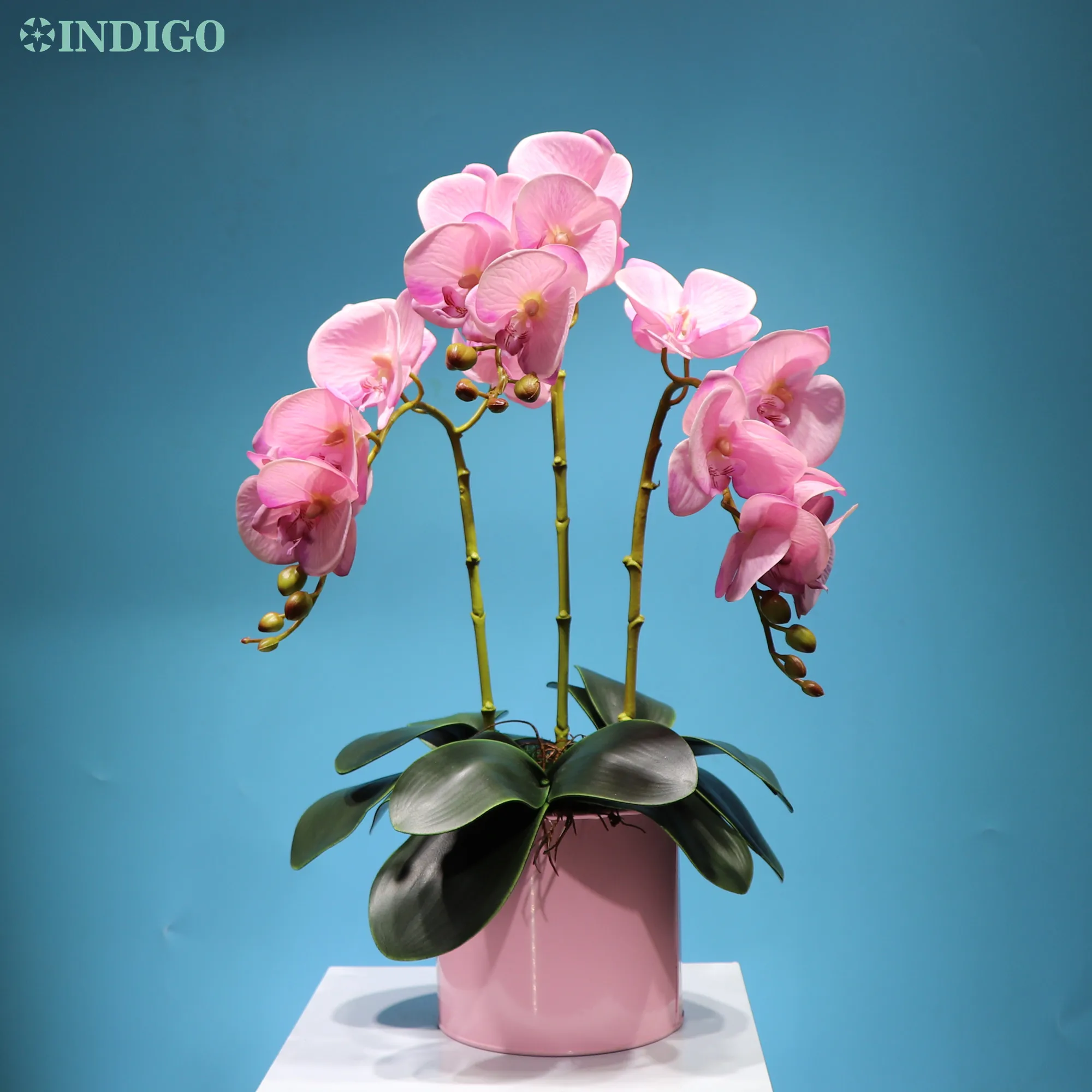 

INDIGO -3D 5pcs Phalaenopsis Orchid (7flower/stem) Real Touch Orchid Artificial Flower Wedding Flower Floral Party Free Shipping