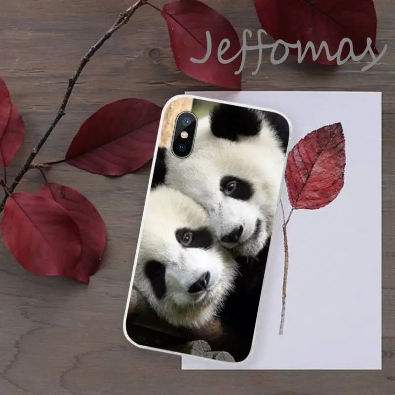 

Cute panda Phone Case Transparent for iPhone 11 12 mini pro XS MAX 8 7 6 6S Plus X 5S SE 2020 XR