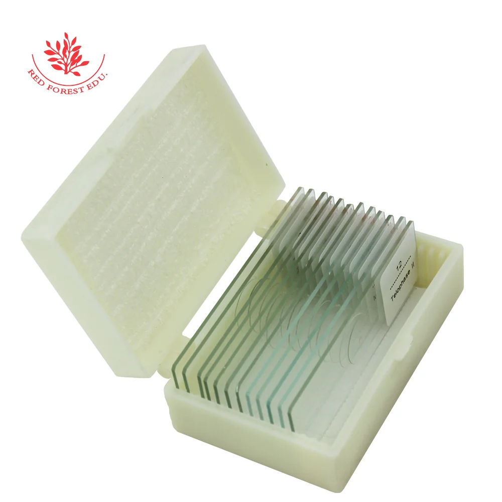 Слайды подготовленные для микроскопа Митоз и миоз растений с образцами обучения