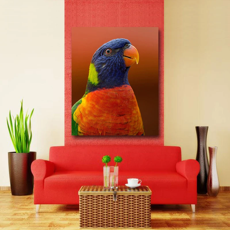 Животное птица Макау живопись по номерам прекрасный умный разноцветный попугай