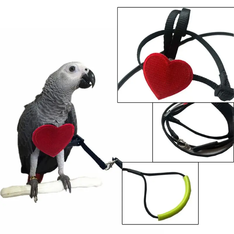

Anti-bite Flying Training Rope Parrot Birds Ultralight Harness Leash Soft Portable Pet Toys