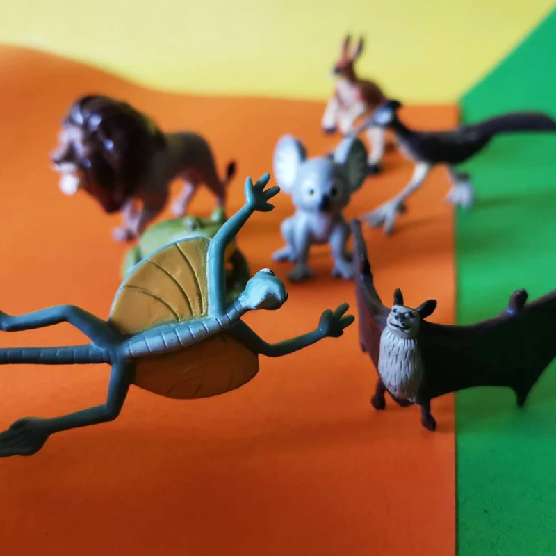 Лев коала кенгуру летучая мышь miniatures/Сказочный Садовый Гном/Террариум с мхом