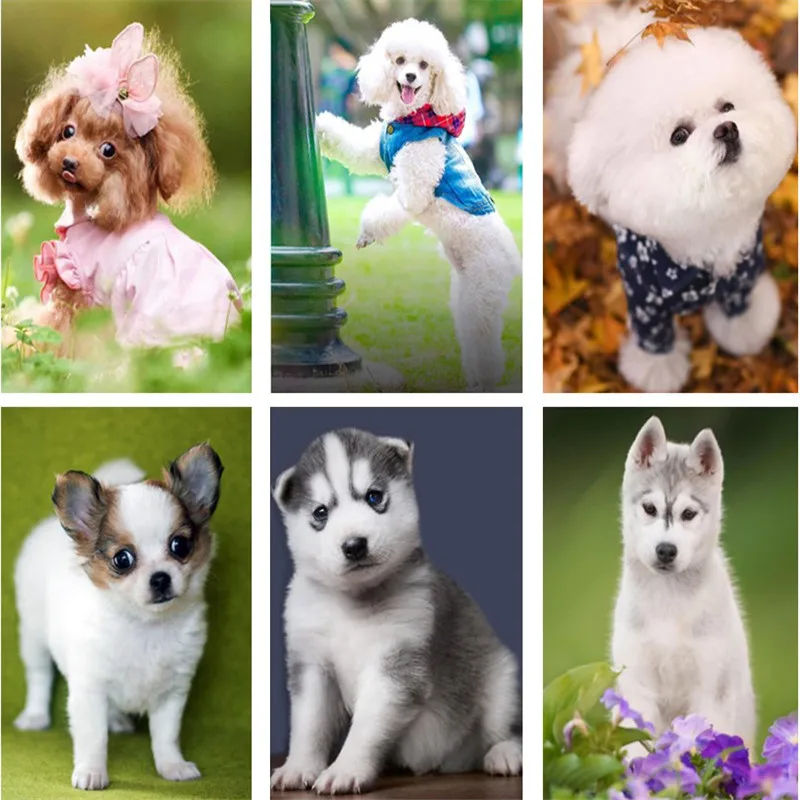 Алмазная живопись 5d с рисунком пуделя для украшения дома алмазная Вышивка Набор