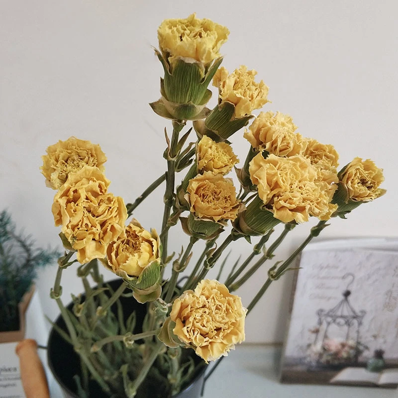 

10pcs Carnation Bouqet Dried Flower Teacher Gift Deco Birthday Woman Home Decoration Accessories Bedroom Wedding Backdrop Decor