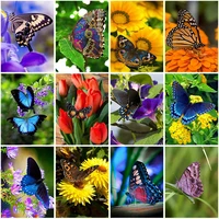 full round drill square 5d diamond painting butterfly animals new arrival diamond art embroidery scenery flowers home decoration