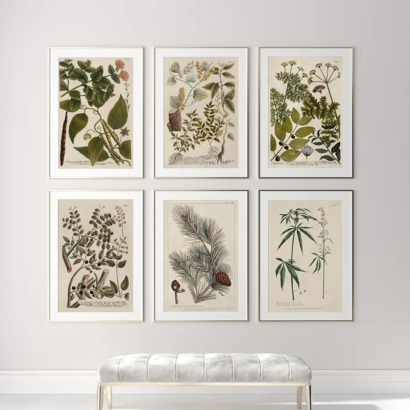 Ботанический учебный плакат зеленых растений справки таблицей диаграмма