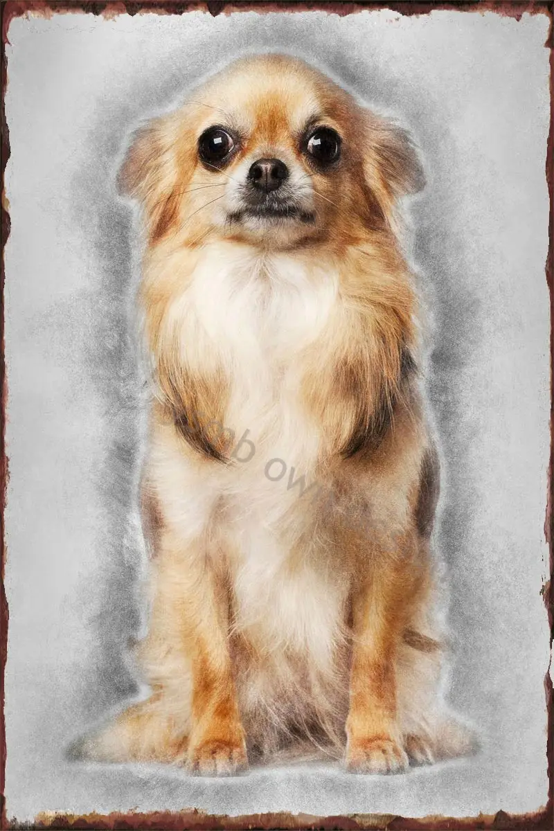 

Винтажный металлический Ретро Знак Чихуахуа 4 года, жестяные таблички, настенный Декор для дома, клуба, мужской пещеры, кафе, паба