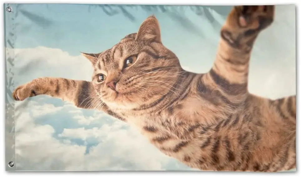 

Флаги для кошек, сада, газона, 3 Х5 футов