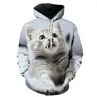 Толстовка с милым котом, кавайные толстовки с 3D принтом кота, большие размеры, мужская и женская мода, повседневный пуловер с длинным рукавом, уличная одежда в стиле Харадзюку, топы