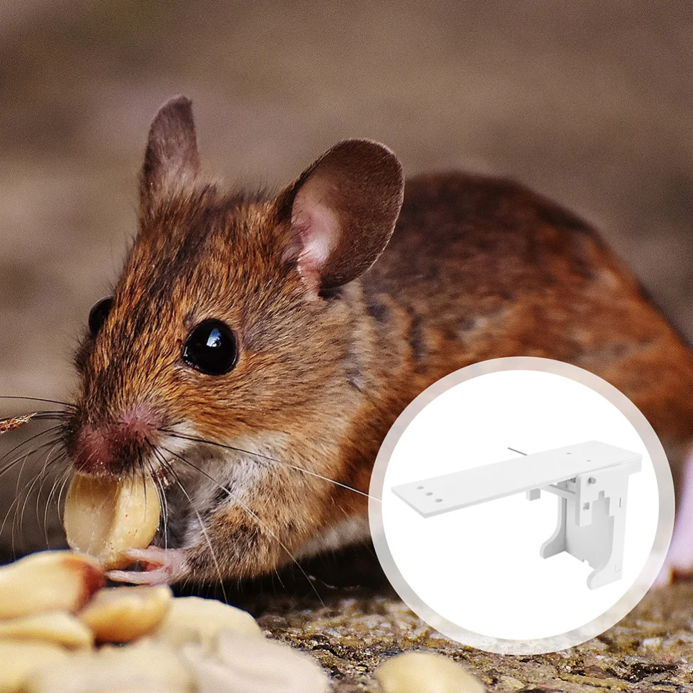 

2 Sets Humane Bucket Rat Trap Catch and Release Auto Reset Rat Catch Tool