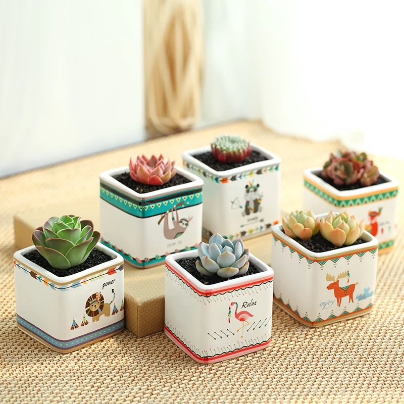 Яркий фотографический индивидуальный цветочный горшок для мяса белый