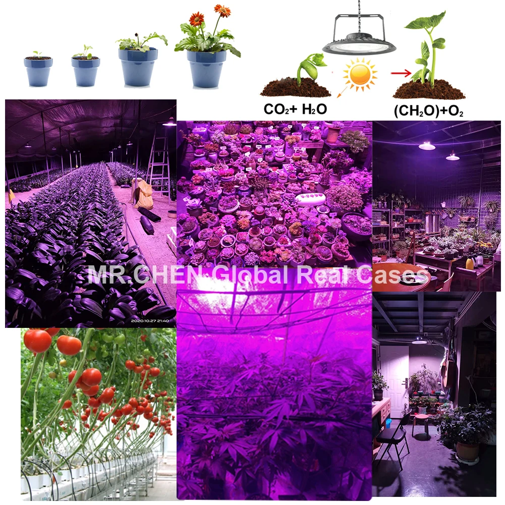 

Waterproof Led Grow Light UV Full Spectrum Plant Growth Seedling Cultivation Flower Greenhouse Tent Succulents Vegetables Fruit