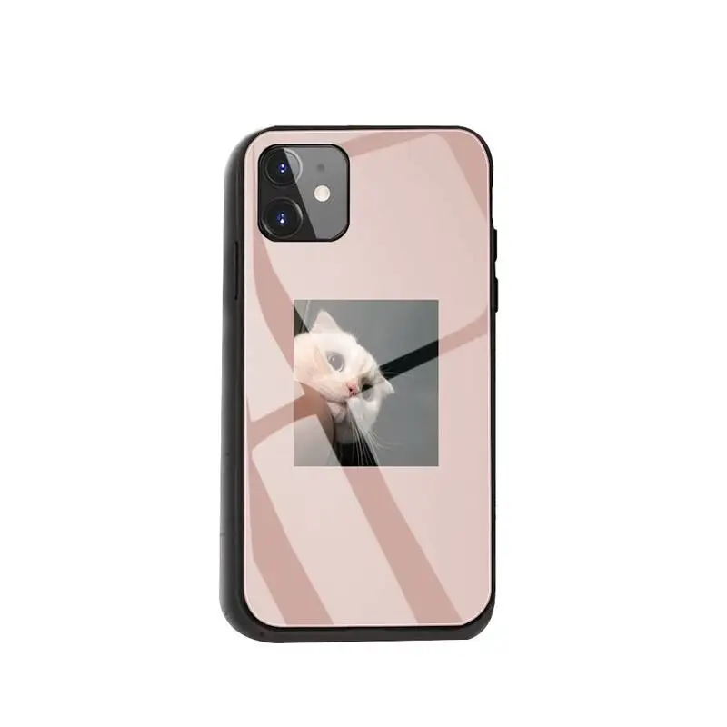 

Cute Animal Cat Phone Case For Iphone 12 11 Pro MAX XR X 7 8Plus SE2020 DIY Shockproof Glass Soft Silicone Edge