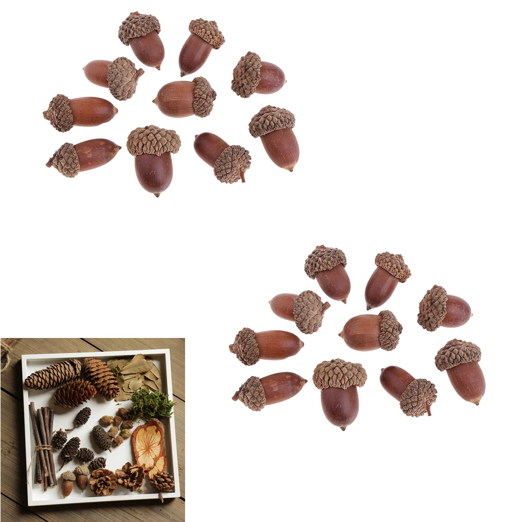 20x Натуральные сушеные цветы желуди потертый шикарный Художественный Цветочный