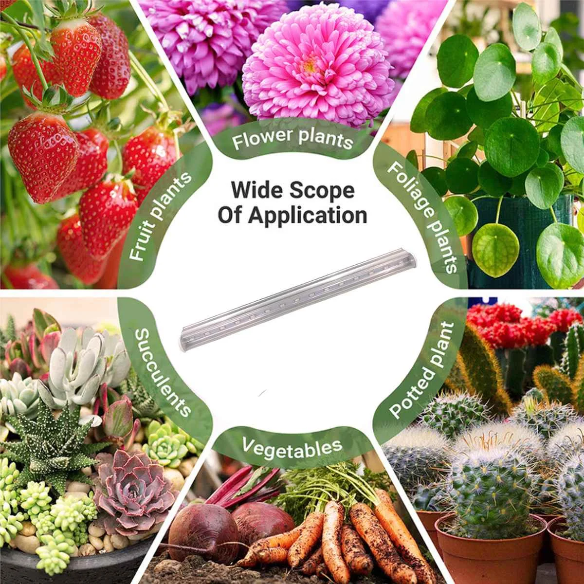 

30W LED Grow Light Full Spectrum LED Lamp for Plants High Luminous Efficiency Phytolamp for Seedlings Greenhouse Grow Tent