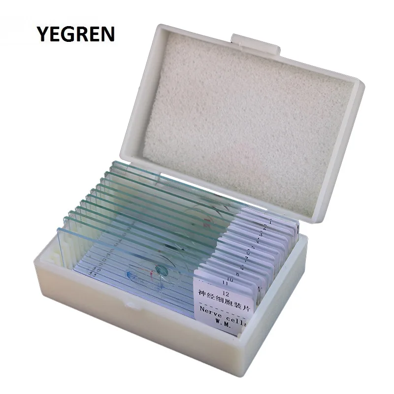 12 шт. стеклянные биологические образцы животных|Запчасти и аксессуары для