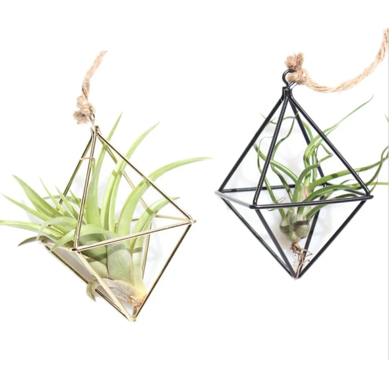 Hanging Tillandsia Air Plants Rack Metal Geometric Iron Art Rustic Flower Planter Pot Wall Decor Container Succulent Vase | Дом и сад