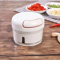 mini garlic grinder crusher peeler grinder tool kitchen accessory gadget new vegetable cutter household goods