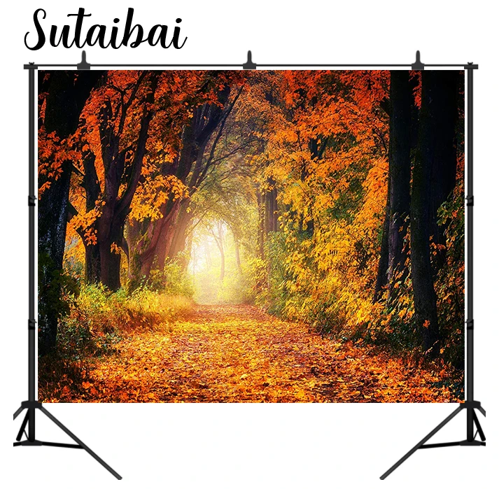 Enlarge Autumn Forest Leaves Backdrop Fall Golden Yellow Nature Scene Photography Background Birthday Events Decoration Kids Adults