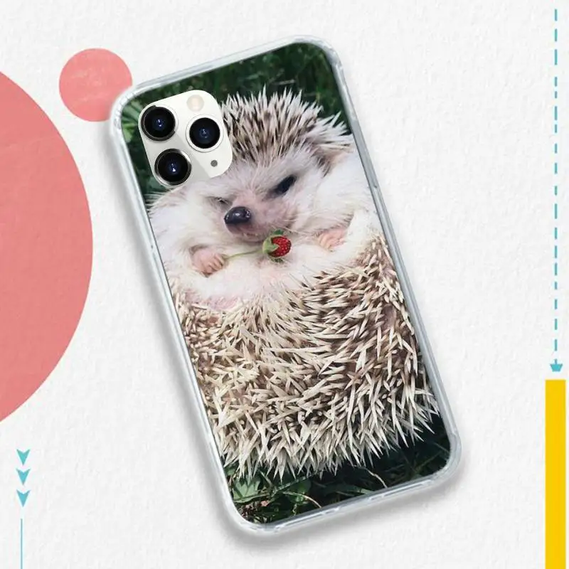 

lovely Hedgehog animal fundas Phone Case for iPhone 11 12 pro XS MAX 8 7 6 6S Plus X 5S SE 2020 XR