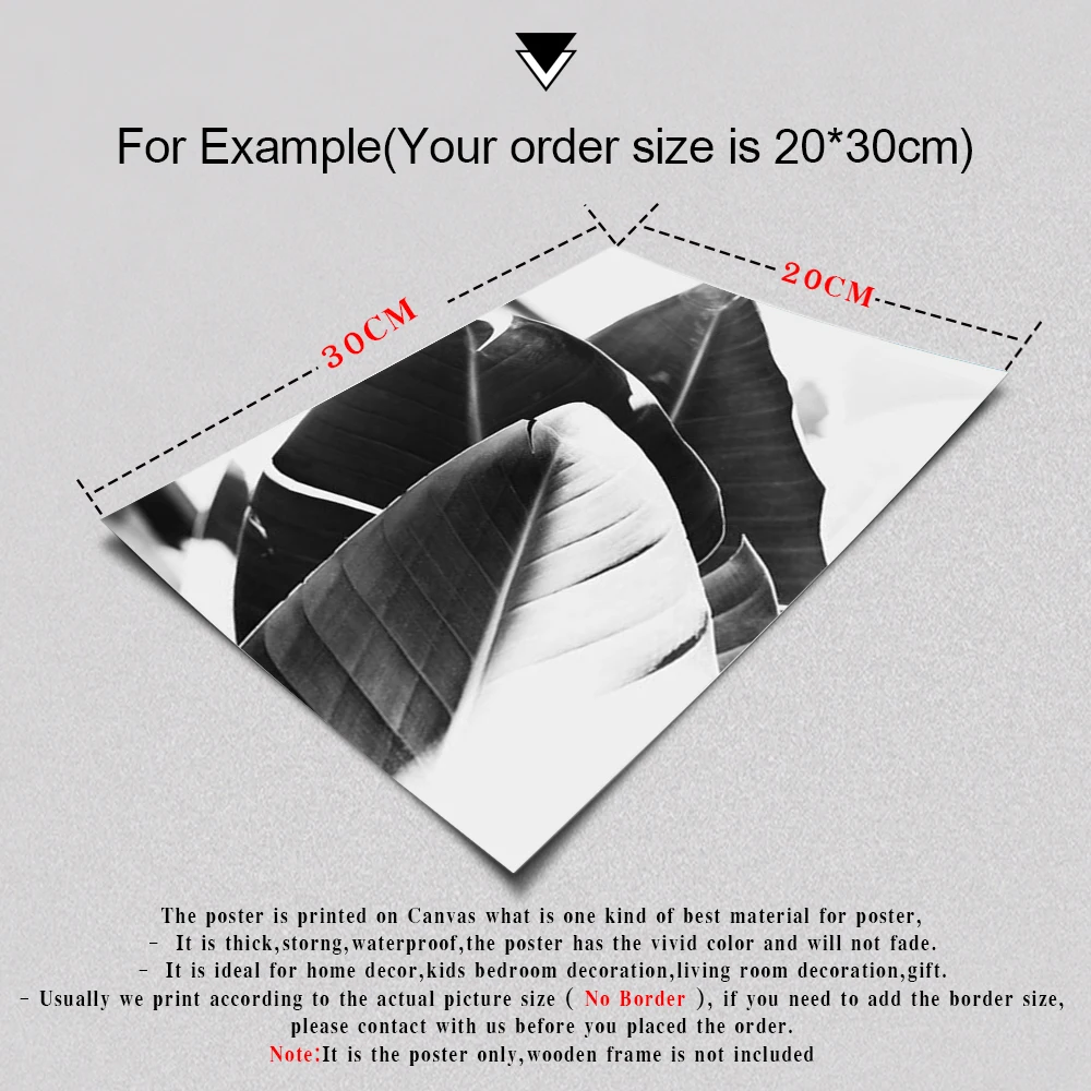 

Modern Calligraphy Black and White Canvas Paintings Plant Wall Art Posters Monstera Leaves Pictures Living Room Home Decor